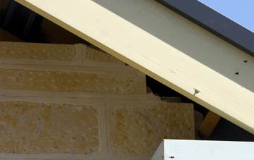 soffit repair Windsoredge