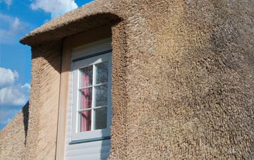 Windsoredge thatch roof disadvantages